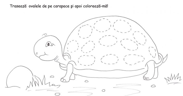 Broasca ţestoasă – trasare