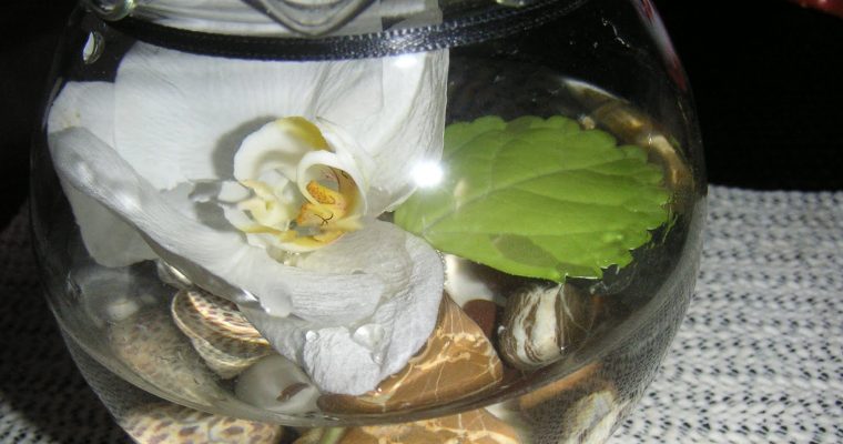 Florile mele